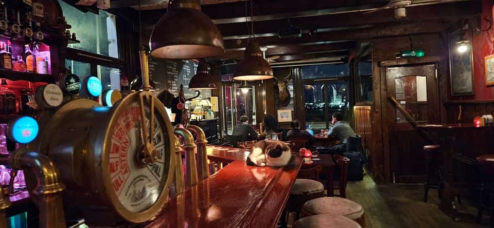 Easy moment in Cafe Westerdok Amsterdam